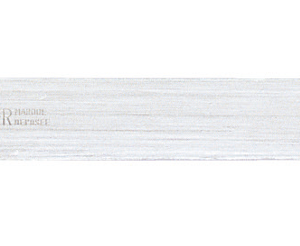 FUSIL ECO